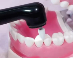 Oral Icon® Tooth Polisher - Tanden polijster