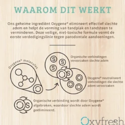 OxyFresh Fresh Mint Mondwater