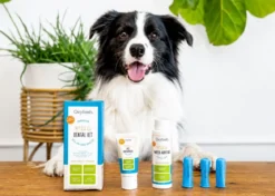 OxyFresh Pet Dental Kit (Dieren)