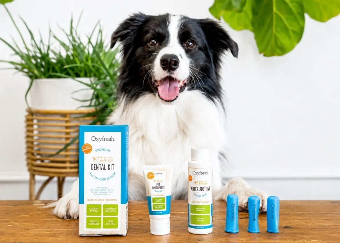 OxyFresh Pet Dental Kit (Dieren)