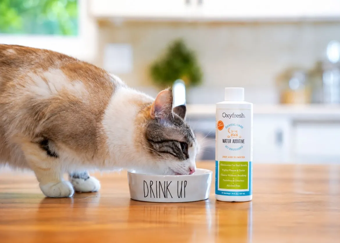 OxyFresh Pet Dental Kit (Dieren)
