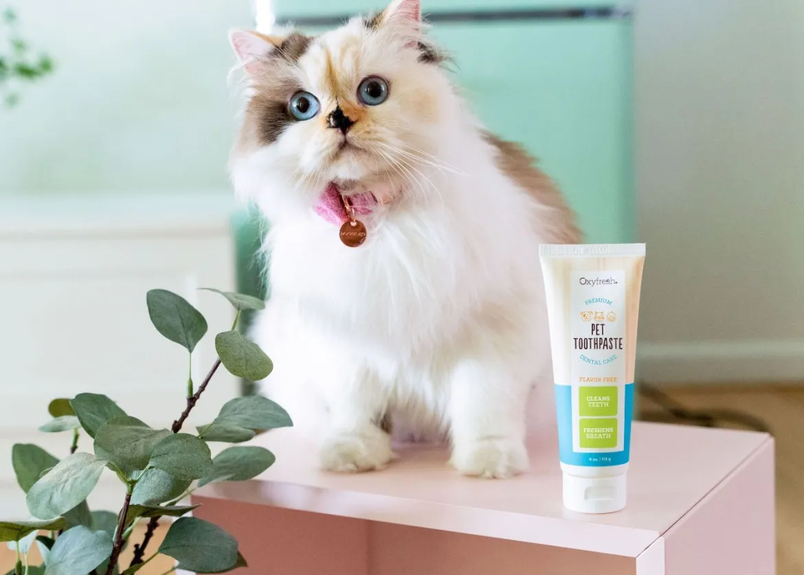 2 OxyFresh Pet Tandgel en 1 Tandenkrabber