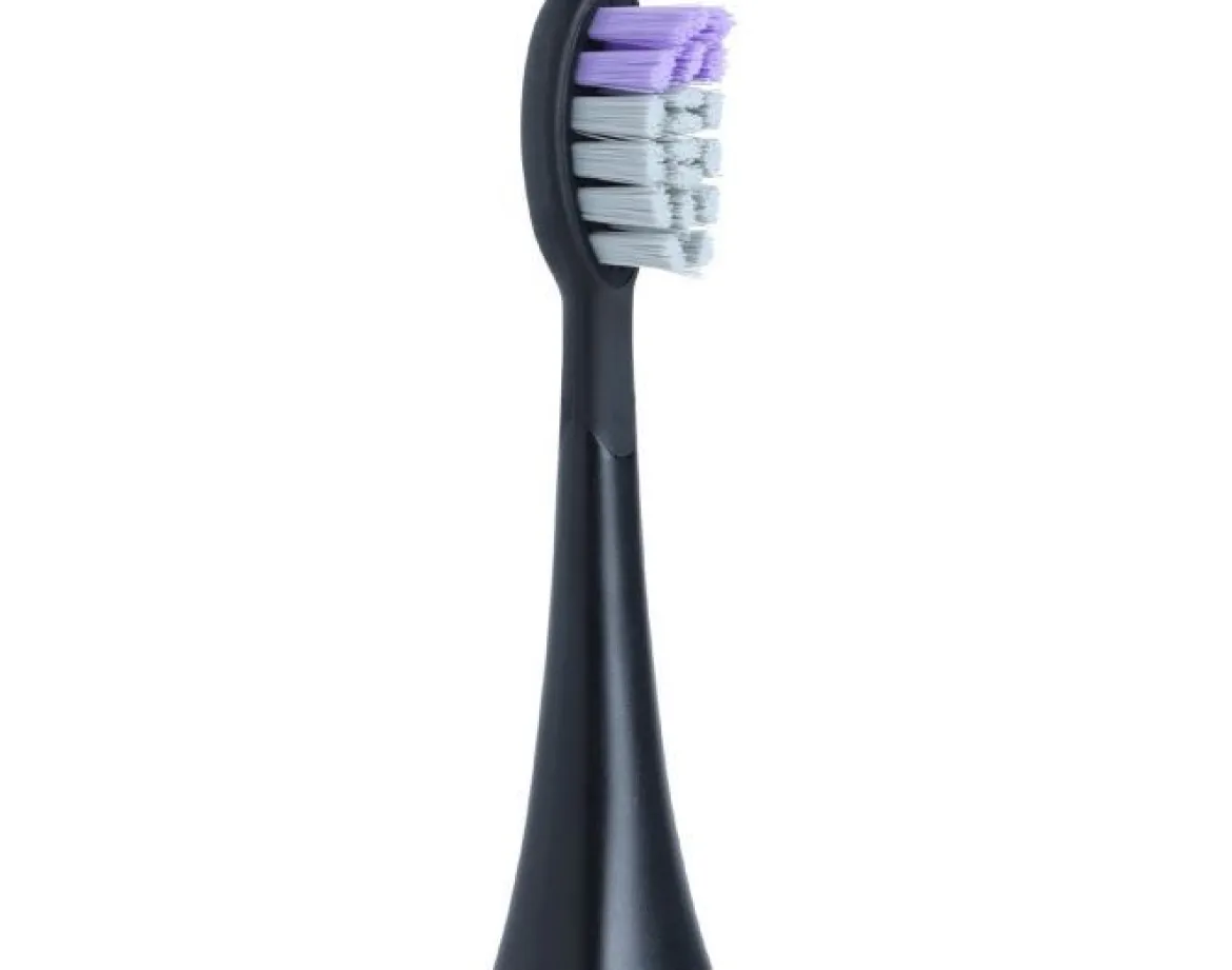 Solid Brush Boost Opzetborstel-Zwart