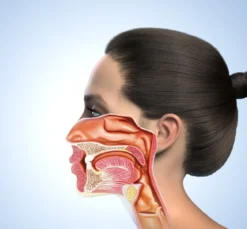 TonsilFresh Nasal Sinus Drops